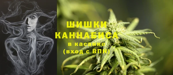 прущие грибы Абинск