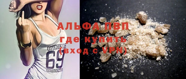 прущие грибы Абинск