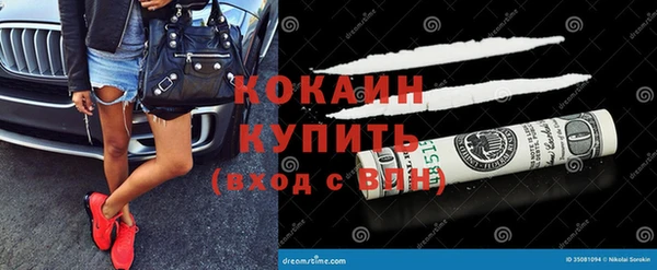прущие грибы Абинск