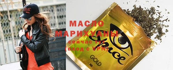 гидра Инсар