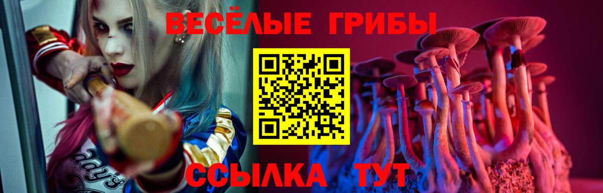 Галлюциногенные грибы Psilocybine cubensis Кизилюрт